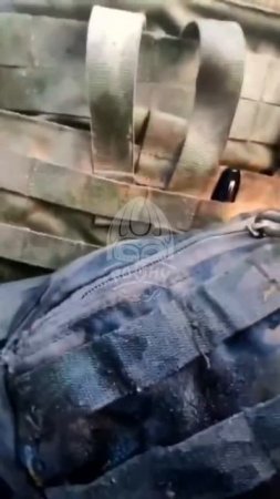 Вот бы еще увидеть запись с нашлемной камеры незадачливого мотоциклиста
