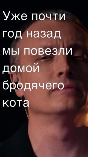 И, чтобы сытно жить зимой, позволил взять себя домой