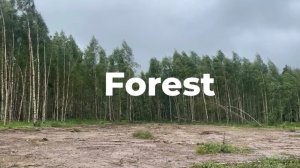 Forest fan music video