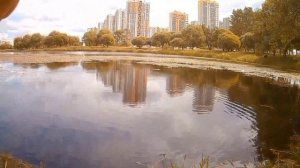 ПИТЕР ❤️РЫБАЛКА НА КАРАСЯ 🎣🎣🎣