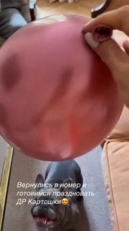 1525759139379813218