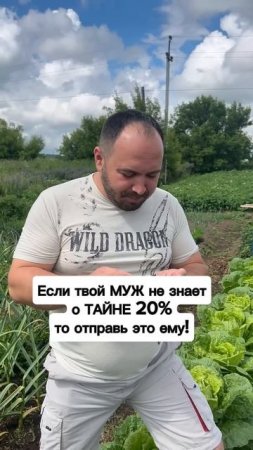 ТАЙНА 20%