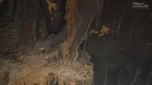 Scientists filmed a new video of the sunken Titanic.
