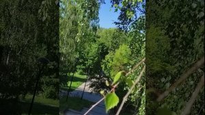 ПОД ШУМ ДОЖДЯ (online-video-cutter.com)