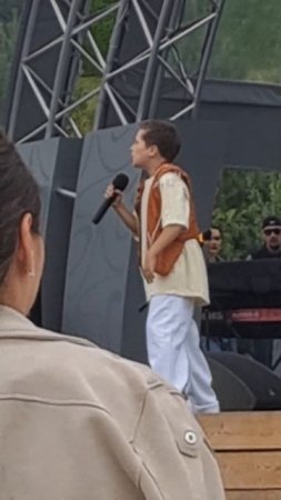 Песня воля и разум