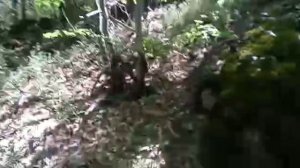 Крым Участок Заповедник 5 соток