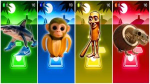 TRALALERO TRALALA vs TRALALERITOS vs TUNG TUNG TUNG SAHUR vs COFFIN DANCE x TRALALERO TRALALA