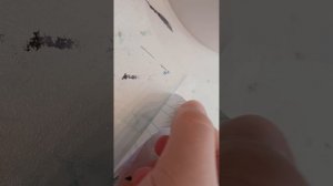 1000011394.mp4