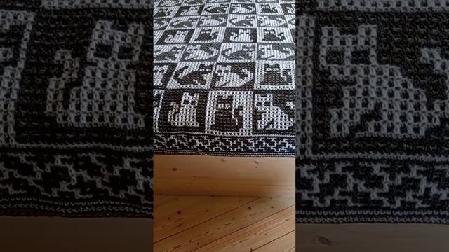 Котоплед. Ещё немного, ещё чуть чуть.