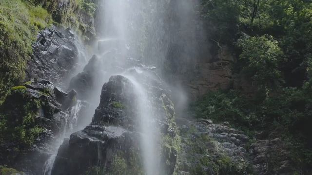 Большая удача ждёт эти знаки в июле.