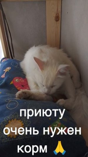 +7985 193 0027 сбер, элплат