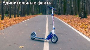 Удивительные факты о самокатах: от изобретения до популярности сегодня!