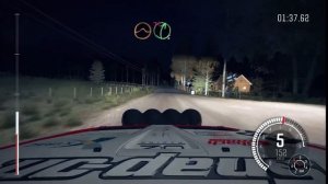 Деревья и звёзды: завораживающий ночной заезд в Dirt Rally