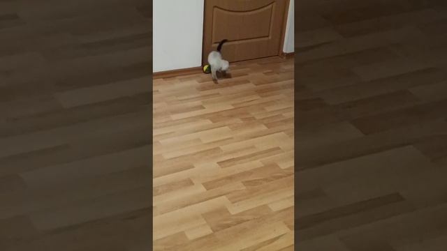 Игра