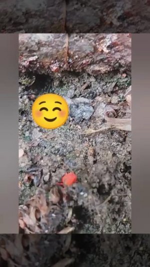 придумайте пожалуста имя беземчному жучку