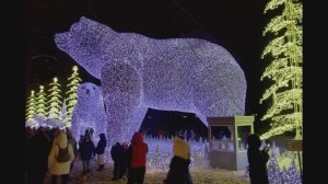 2019 Белые медведи Ростокино