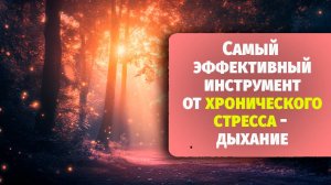 Самый эффективный инструмент от хронического стресса - дыхание
