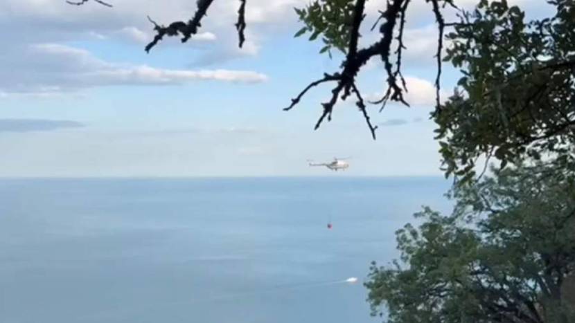 В минприроды Крыма назвали причину лесного пожара в Алуште