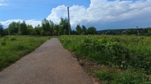 Летний лес. I'll find a way out soon