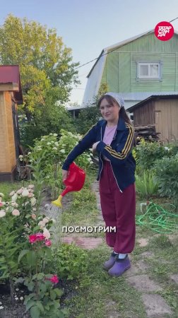 Самые дорогие и самые дешевые дачи Казани: от 100 тысяч до 40 миллионов. Обзор
