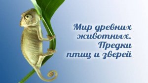 Предки птиц и зверей # 3. Разнообразие птеродактилей