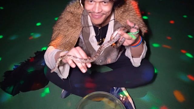 Выпускной в Джуманджи 29.04 (16) смотреть онлайн