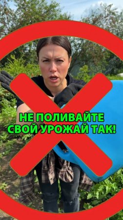 Не поливайте свой урожай так