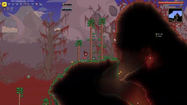 Terraria Calamity Mode (Death) №15