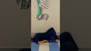 Твоя поясница болит не из-за дисков и грыж