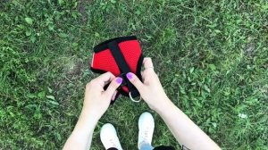 MiloPets — это…