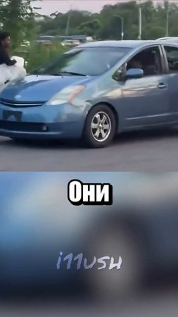 И зачем им нужен лебедь？