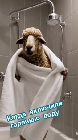 В Минске начались отключения горячей воды #беларусь #минск