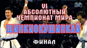 Киокусинкай.VI Абсолютный Чемпионат Мира по Шинкиокушинкай(финал)