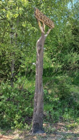 Дерево из бетона! #цемент #творчество #поделкидлясада #art #сад #diy #woodworking