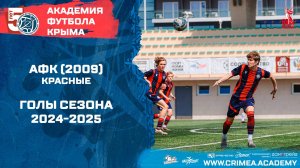 АФК (2009)-красные | Голы сезона 2024-2025