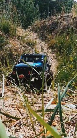RC Jeep Wrangler JK Rubicon #rctrophy #rcoffroad #hobbywingfusion