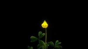 Опенинг: Монолог фармацевта