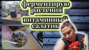 105-25! VLOG ДЕНЬ ГОТОВКИ/ГОТОВЛЮ ЧАИ И ПРОБУЕМ/СЮРПРИЗ ОТ ИГОРЕВИЧА/ВИТАМИННЫЙ САЛАТИК