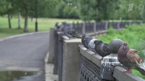 На Москву обрушился североатлантический циклон "Корнелиус"