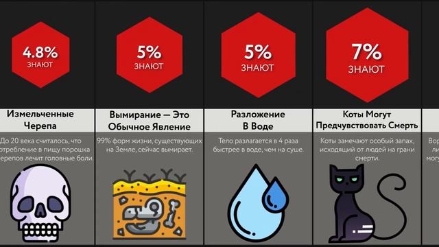 После Этого Ты Не Уснешь! смотреть онлайн