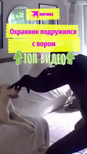 Охранник подружился с вором