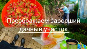 КУПИЛИ ЗАБРОШЕННУЮ ДАЧУ, ШИПОВНИК СОПРАТЕВЛЯЛСЯ И ИСКОЛОЛ ВСЕ РУКИ! ПРЕОБРАЖЕНИЕ НА ГЛАЗАХ!