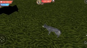 играем в Wildcraft #2