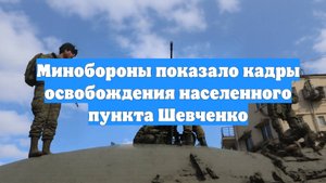 Минобороны показало кадры освобождения населенного пункта Шевченко
