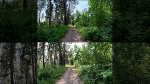 Compare ACE PRO 2 and GoPro 11