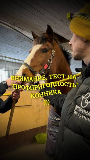 Тест на "профпригодность" конника. В описании подробнее.