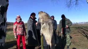 2012-10-ч13_Богомил второй Обряд