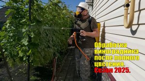 Обработка винограда после полного цветения | Обработка винограда