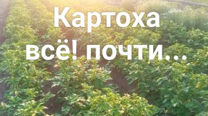 Выходные в деревне. Огород, забор и прочие радости.