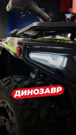 Это не просто зверь, это динозавр! 🦖
